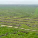 Photo 1 for Ave 32 & Road 192, Delano