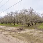 Photo 1 for W Cable St & Rossi Rd, Earlimart