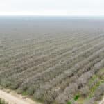 Photo 5 for W Cable St & Rossi Rd, Earlimart