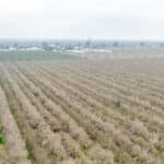 Photo 4 for W Cable St & Rossi Rd, Earlimart