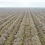 Photo 8 for W Cable St & Rossi Rd, Earlimart