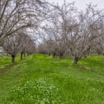 Photo 10 for Ave 48 & Valente Rd, Earlimart