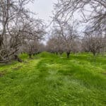 Photo 1 for Ave 48 & Valente Rd, Earlimart