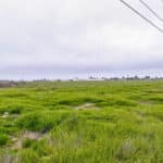 Photo 6 for Ave 48 & Valente Rd, Earlimart