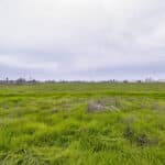 Photo 5 for Ave 48 & Valente Rd, Earlimart