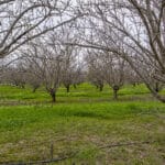 Photo 2 for Howard Rd, Earlimart