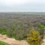 Photo 11 for Howard Rd, Earlimart