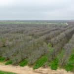 Photo 10 for Howard Rd, Earlimart