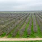 Photo 9 for Howard Rd, Earlimart