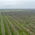 Photo 8 for Howard Rd, Earlimart