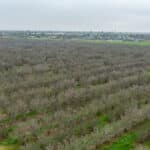 Photo 7 for Howard Rd, Earlimart