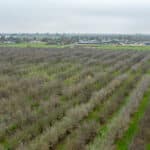 Photo 6 for Howard Rd, Earlimart