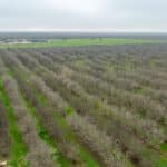 Photo 5 for Howard Rd, Earlimart