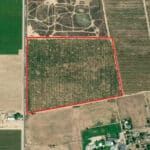 Photo 4 for Howard Rd, Earlimart