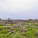 Photo 16 for W Poplar Ave, Porterville