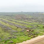 Photo 11 for W Poplar Ave, Porterville