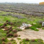 Photo 10 for W Poplar Ave, Porterville