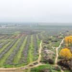 Photo 2 for W Poplar Ave, Porterville