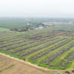 Photo 9 for W Poplar Ave, Porterville