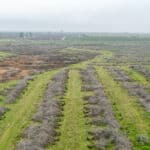 Photo 8 for W Poplar Ave, Porterville