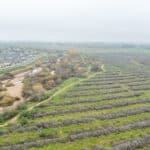 Photo 7 for W Poplar Ave, Porterville