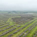 Photo 6 for W Poplar Ave, Porterville