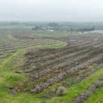 Photo 5 for W Poplar Ave, Porterville