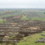 Photo 4 for W Poplar Ave, Porterville