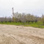 Photo 17 for Hwy 65 & Tule River, Porterville