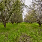 Photo 13 for Hwy 65 & Tule River, Porterville