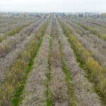 Photo 10 for Hwy 65 & Tule River, Porterville