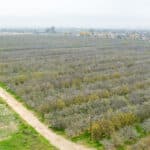 Photo 9 for Hwy 65 & Tule River, Porterville