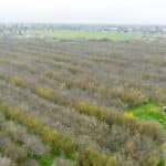 Photo 7 for Hwy 65 & Tule River, Porterville