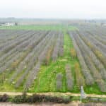 Photo 6 for Hwy 65 & Tule River, Porterville