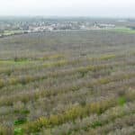 Photo 5 for Hwy 65 & Tule River, Porterville