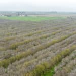 Photo 4 for Hwy 65 & Tule River, Porterville