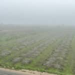 Photo 6 for #1 East Side of Road 208, Porterville