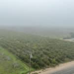 Photo 5 for #1 East Side of Road 208, Porterville