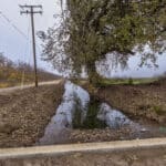 Photo 9 for #1 East Side of Road 208, Porterville