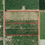 Photo 2 for #1 East Side of Road 208, Porterville