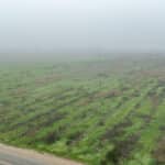 Photo 1 for #2 East Side of Road 208, Porterville