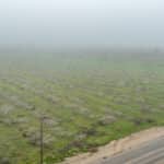 Photo 4 for #2 East Side of Road 208, Porterville