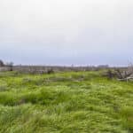 Photo 6 for #2 East Side of Road 208, Porterville