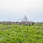 Photo 1 for 16605 Road 208, Porterville