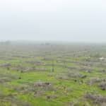 Photo 3 for 16605 Road 208, Porterville