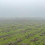 Photo 4 for 16605 Road 208, Porterville