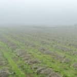 Photo 5 for 16605 Road 208, Porterville