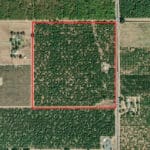 Photo 6 for 16605 Road 208, Porterville