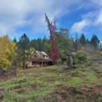 Photo 12 for Hassler Ranch