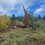 Photo 1 for Hassler Ranch